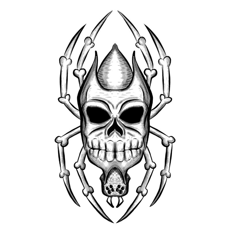 Spider Skull