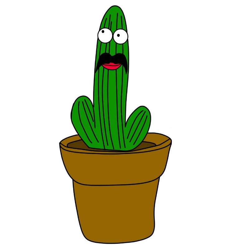 Cactus avec barbe