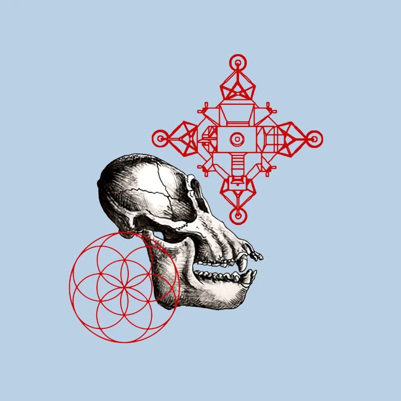 lunar australpithecus