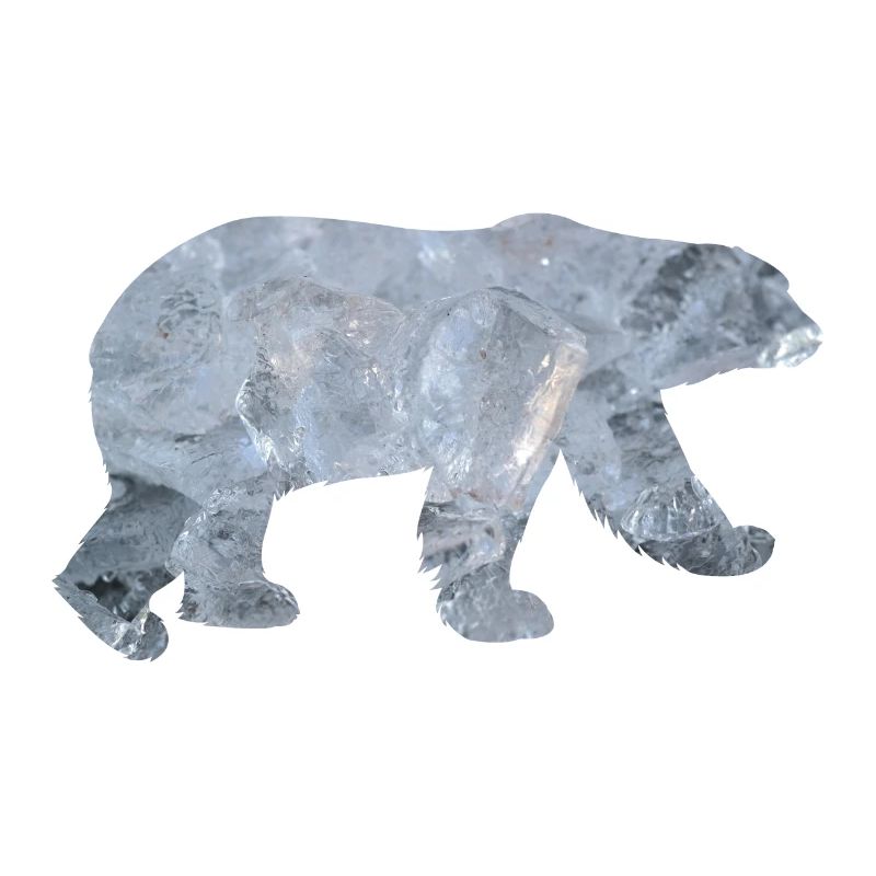 Polar bear polar bear