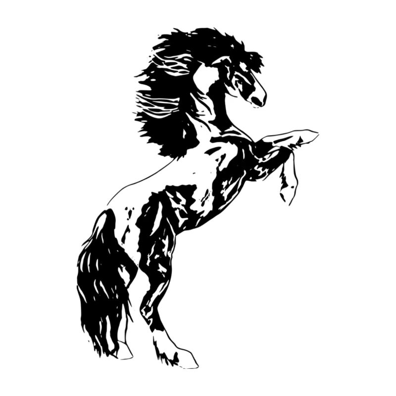 stallion
