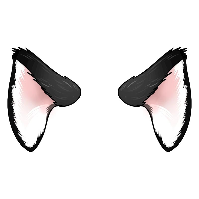 Oreilles de chat noir
