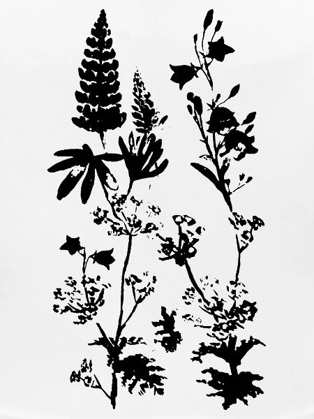 WIESENPFLANZEN