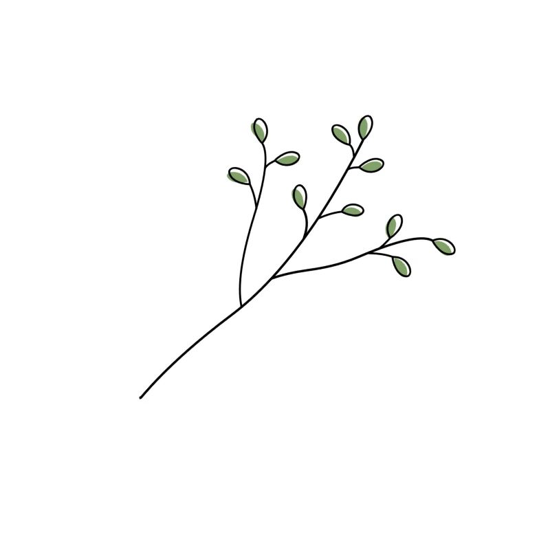Branche.