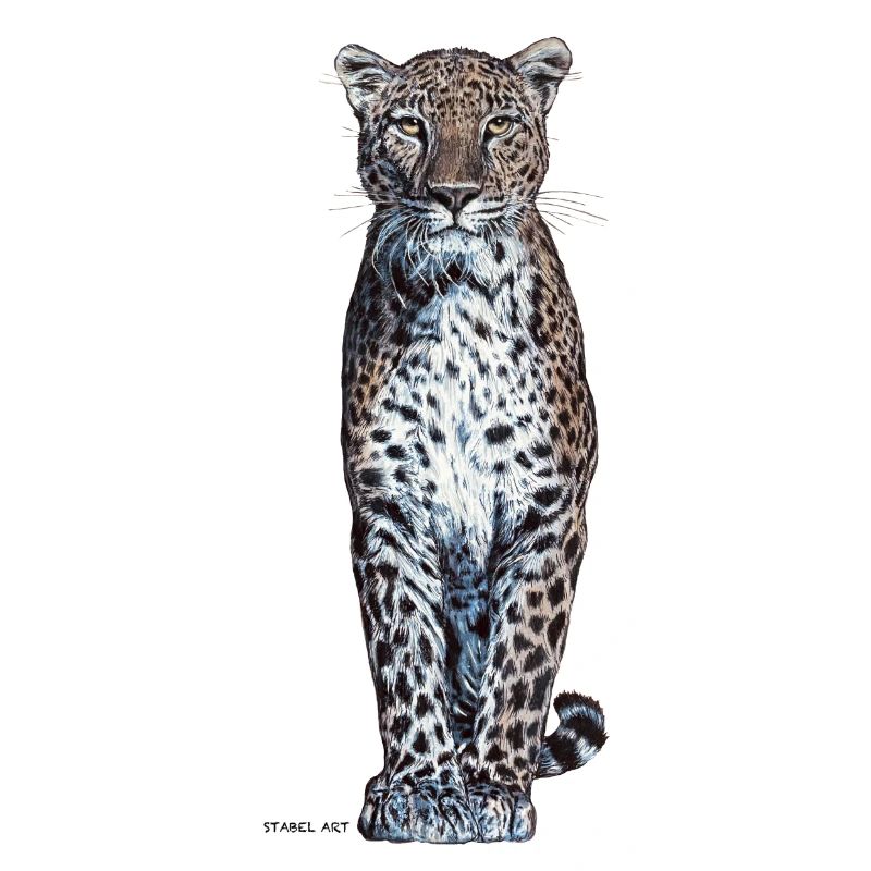 Panther