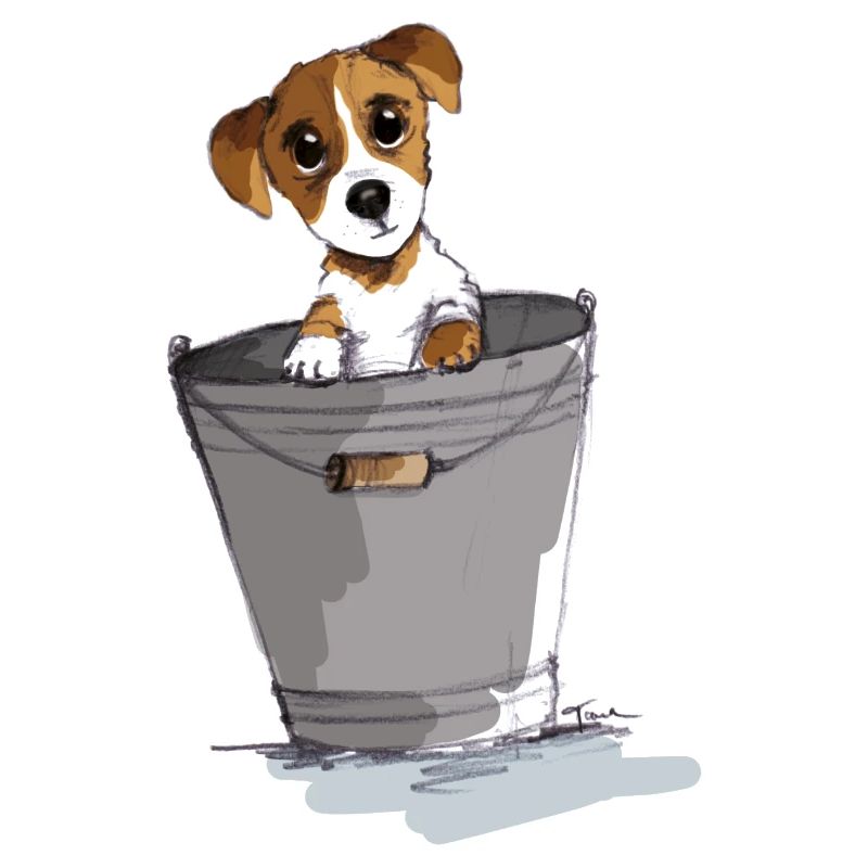 Chiot