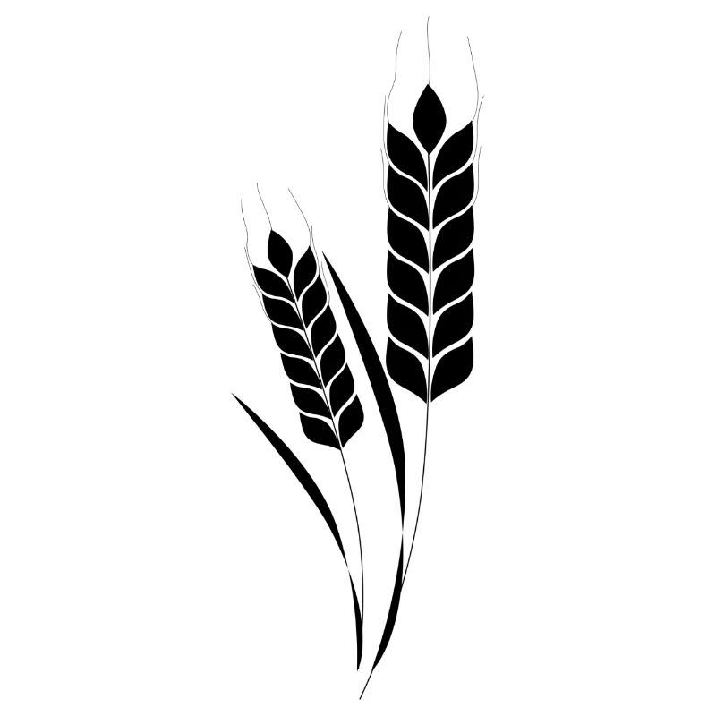 getreide corn cereal wheat weizen veggie gemuese v