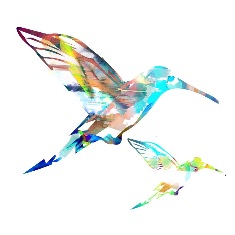 kolibri, graffiti ,malerei, vogel,malerei,