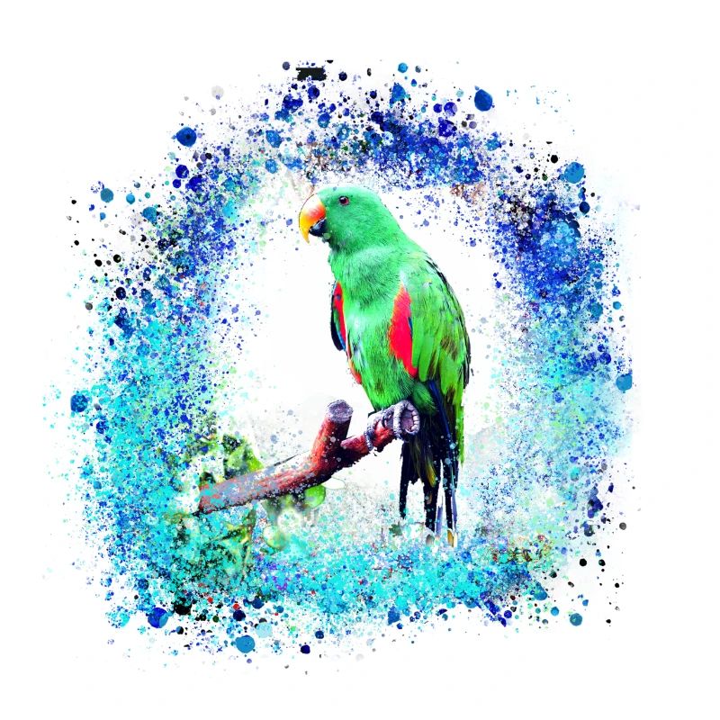 perfich ara,oiseau,graffiti,mint,bleu,brush,spray