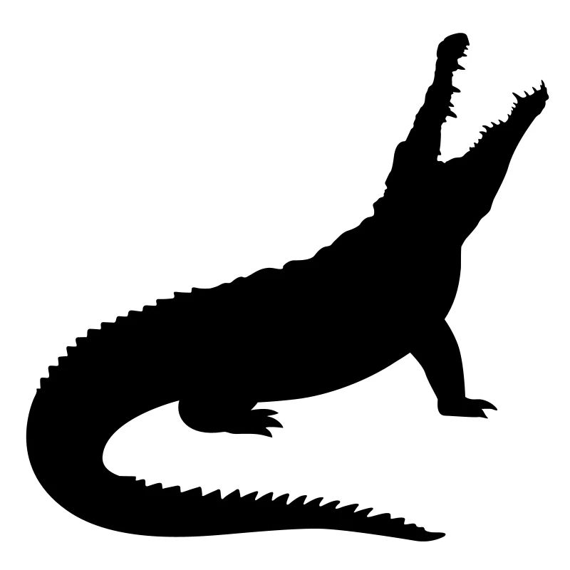 A crocodile