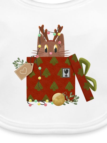 Katze in Weihnachtsgeschenk