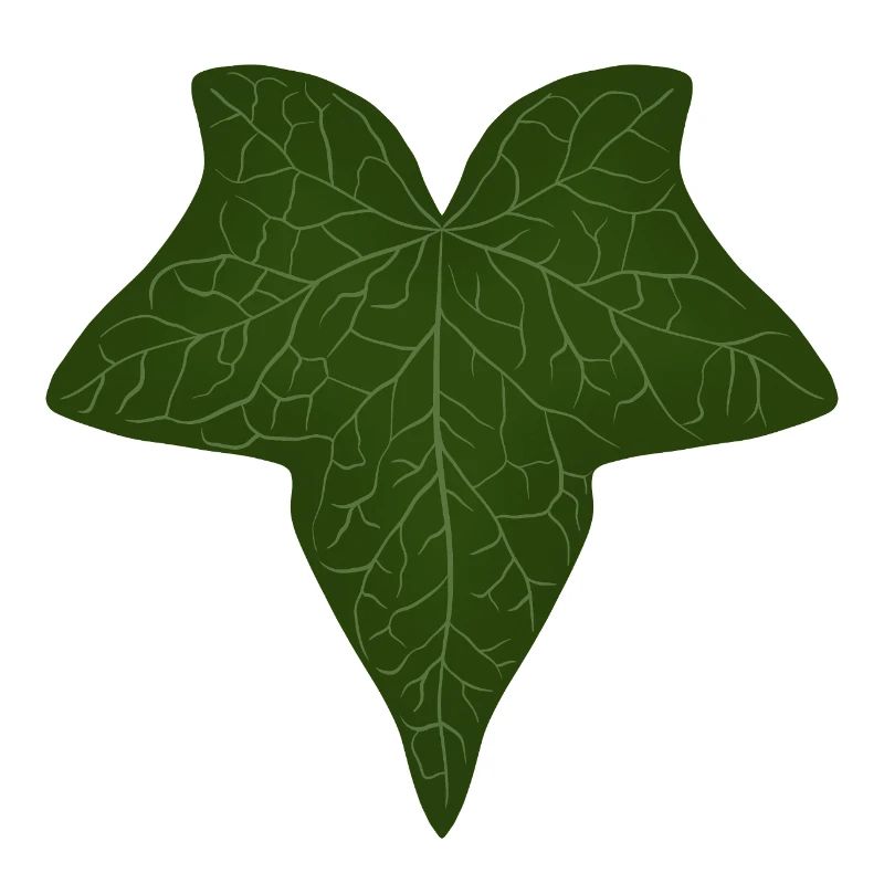 Elegant Green Ivy Leaf Pattern