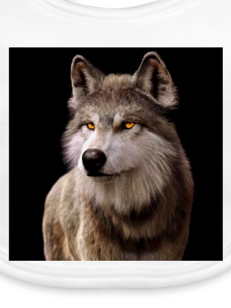 Wolfsblick Bernstein im Dunkel
