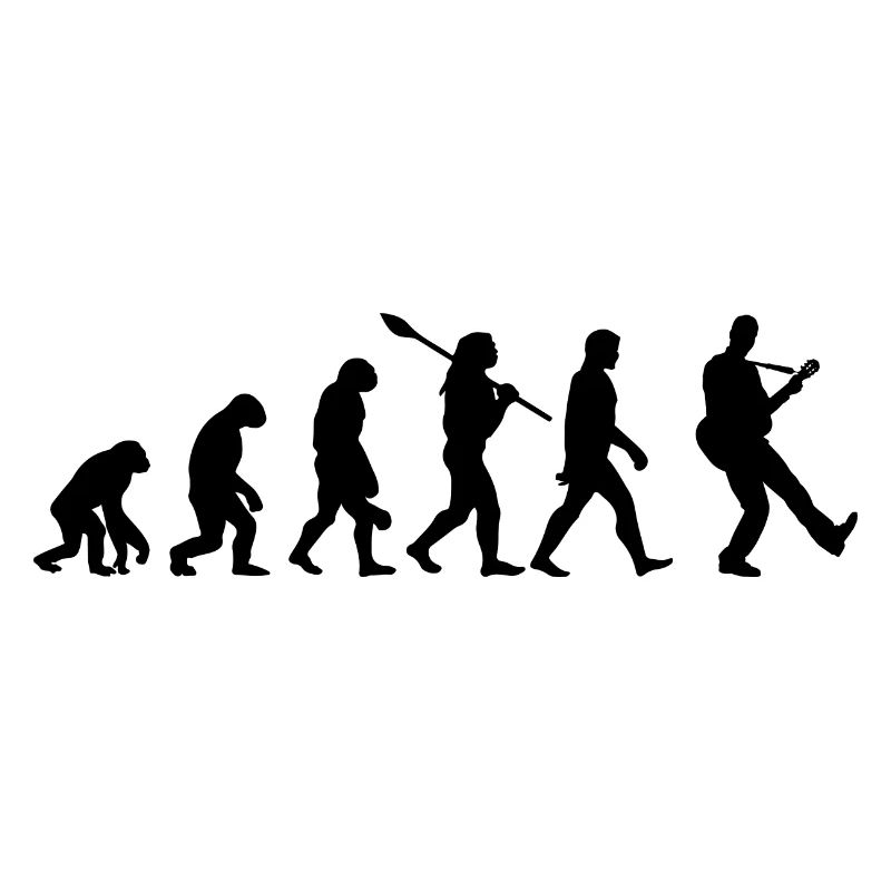 Guitare évolution