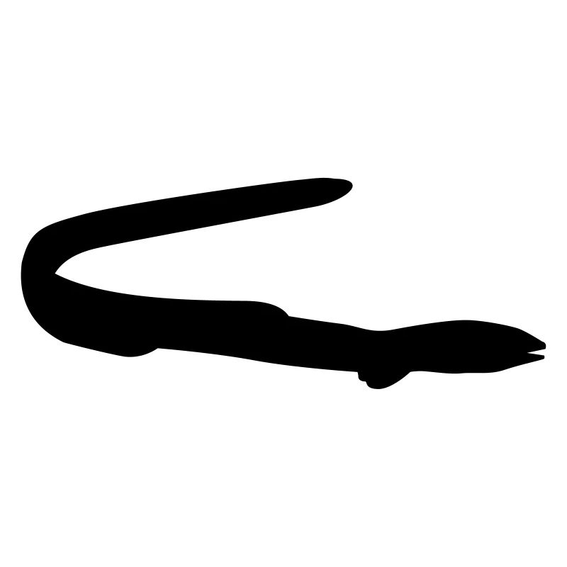 Fish eel