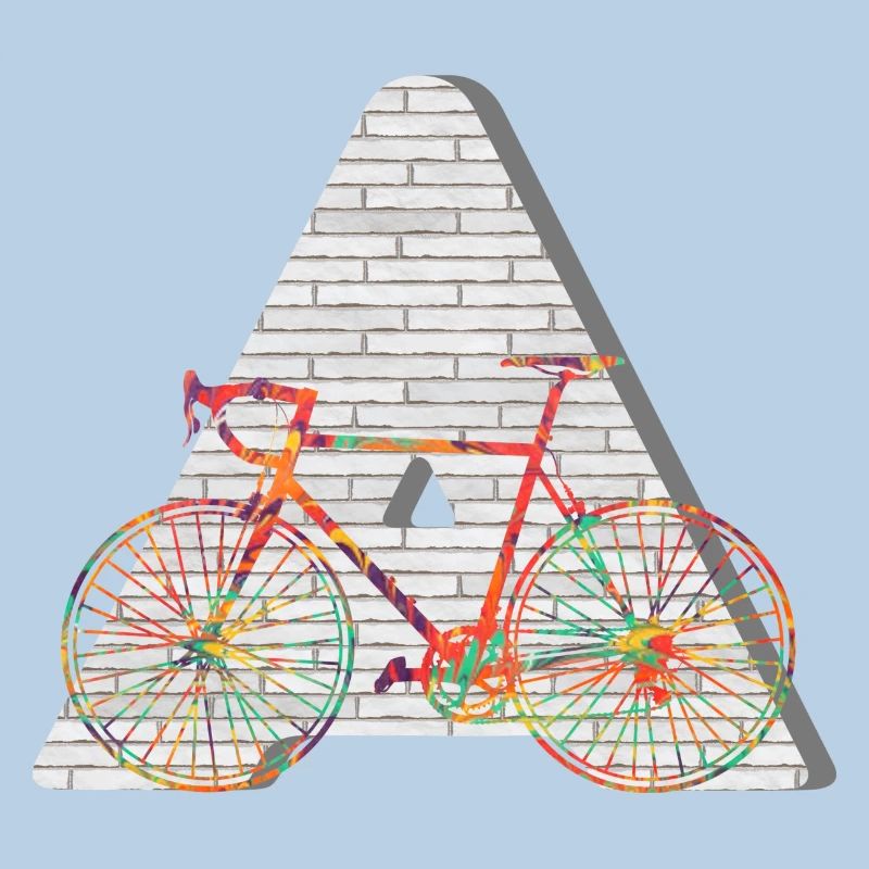 fahrrad e 249 a