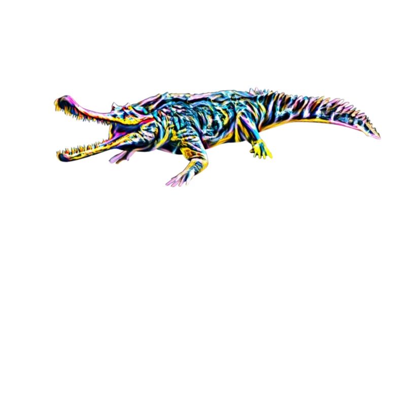 Crocodile