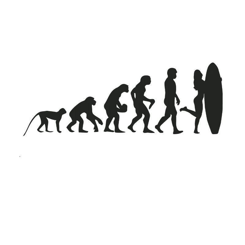 Evolution Surf