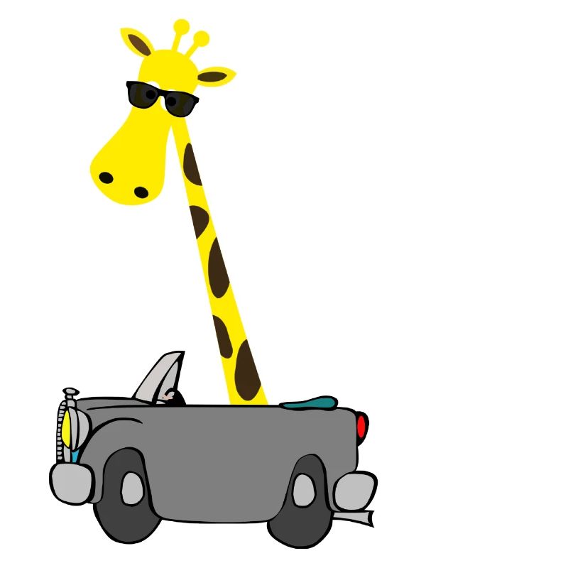 Giraffe mit Sonnenbrille | Das perfekte Geschenk