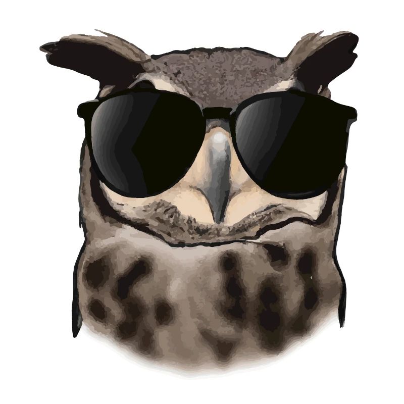 Eule mit Sonnenbrille Geschenkidee