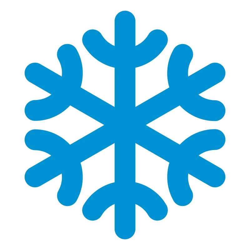 snowflake / fiocco di neve / flocon de neig / copo