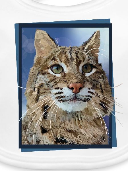 Luchs