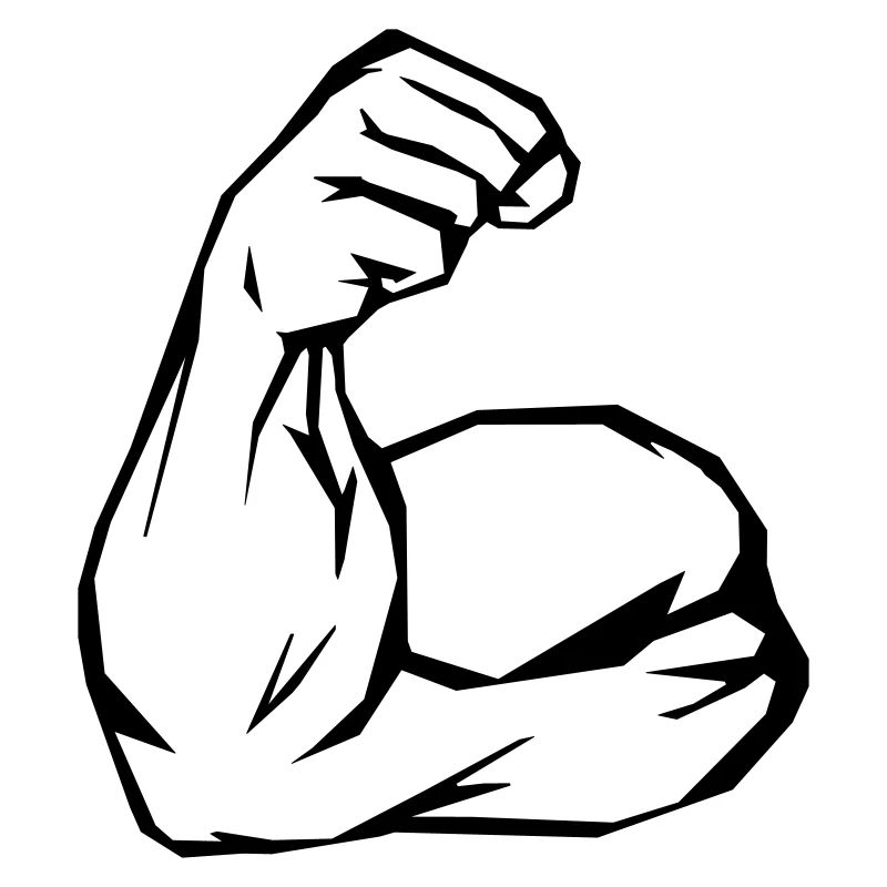 biceps