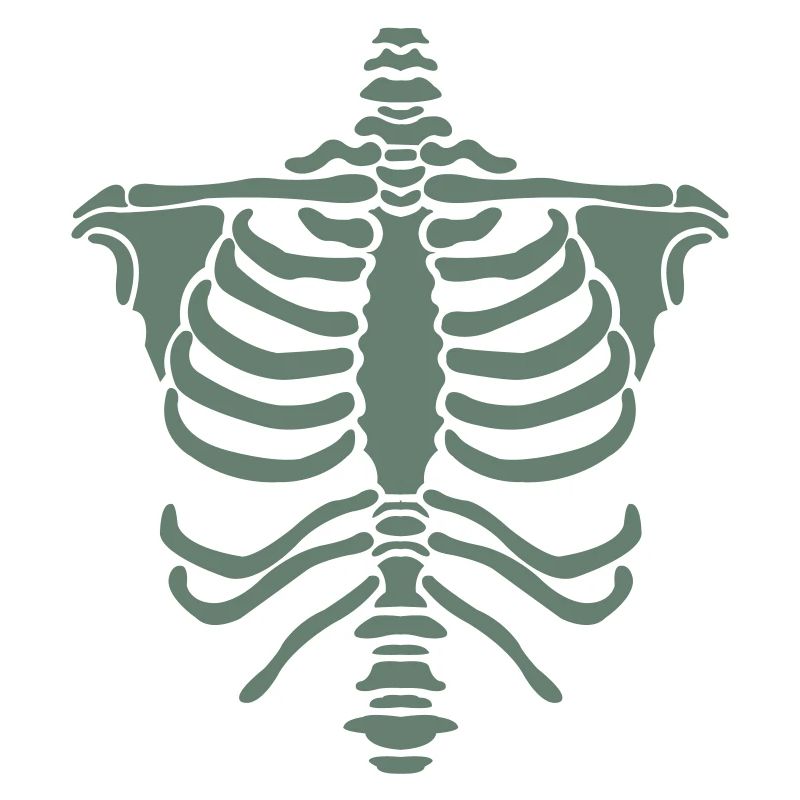 Skeleton Body