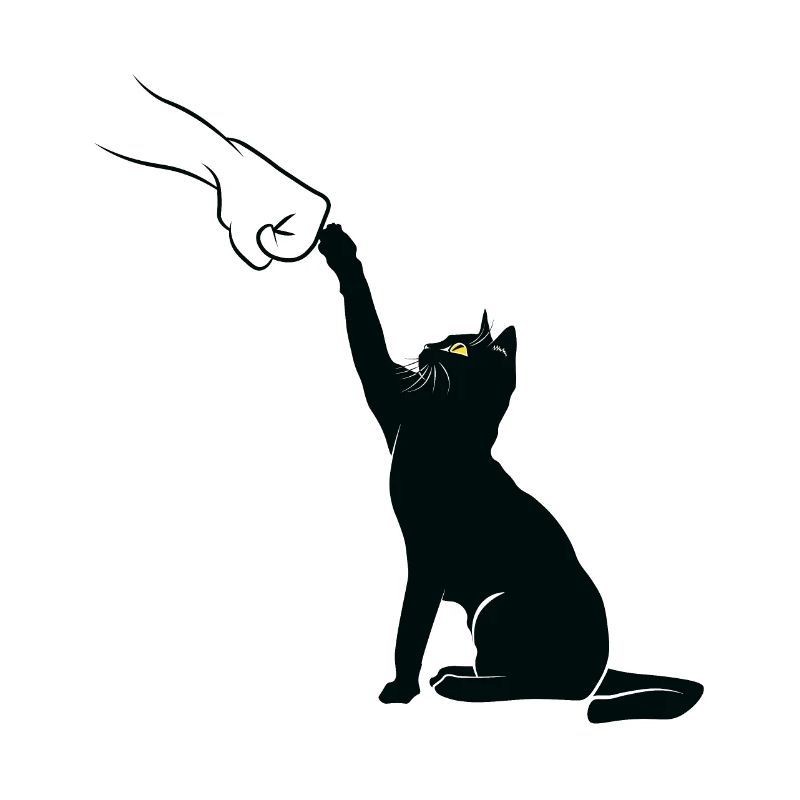 Schwarzer Katzenfauststoß