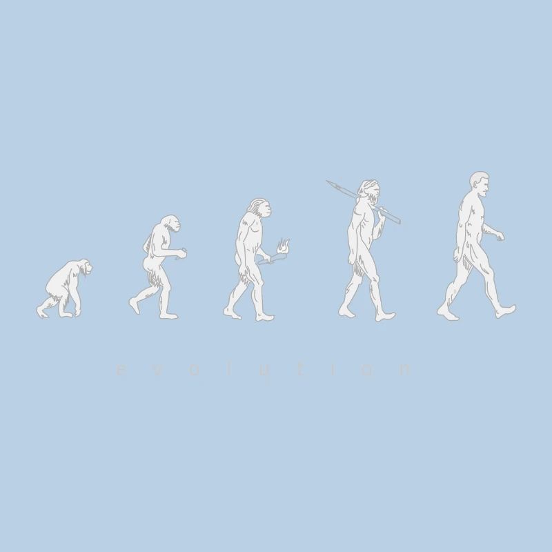 Human evolution