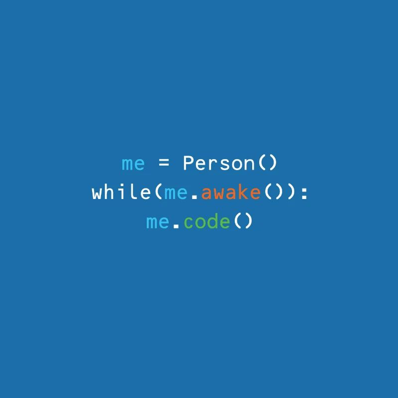 Programmierer