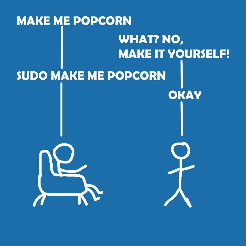 programmeur sudo informatique