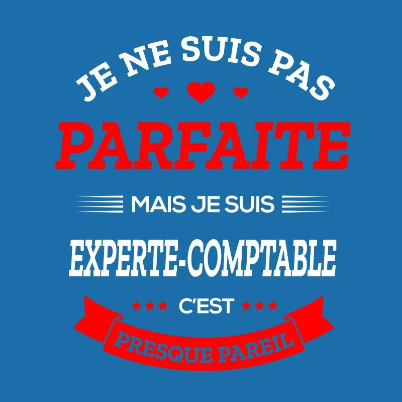 EXPERTE-COMPTABLE PARFAITE