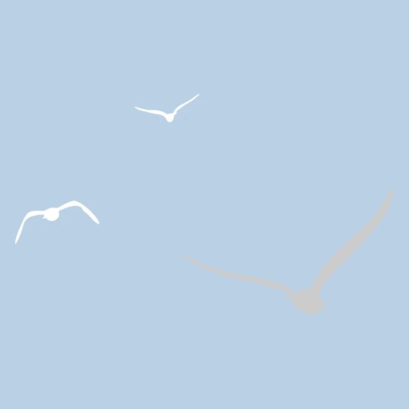 Three Seagulls | Seagull | Colors adjustable