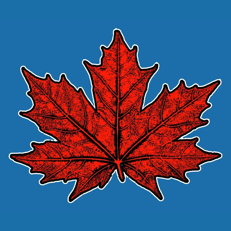 Maple / Leaf