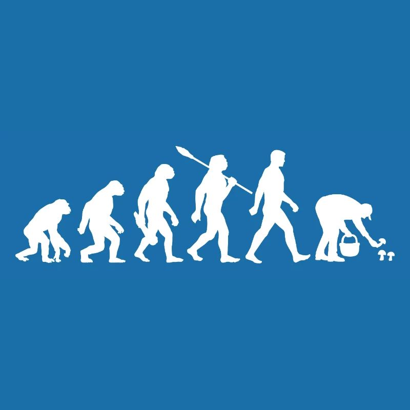 Evolution Cueilleurs de champignons, Cueillette de champignons