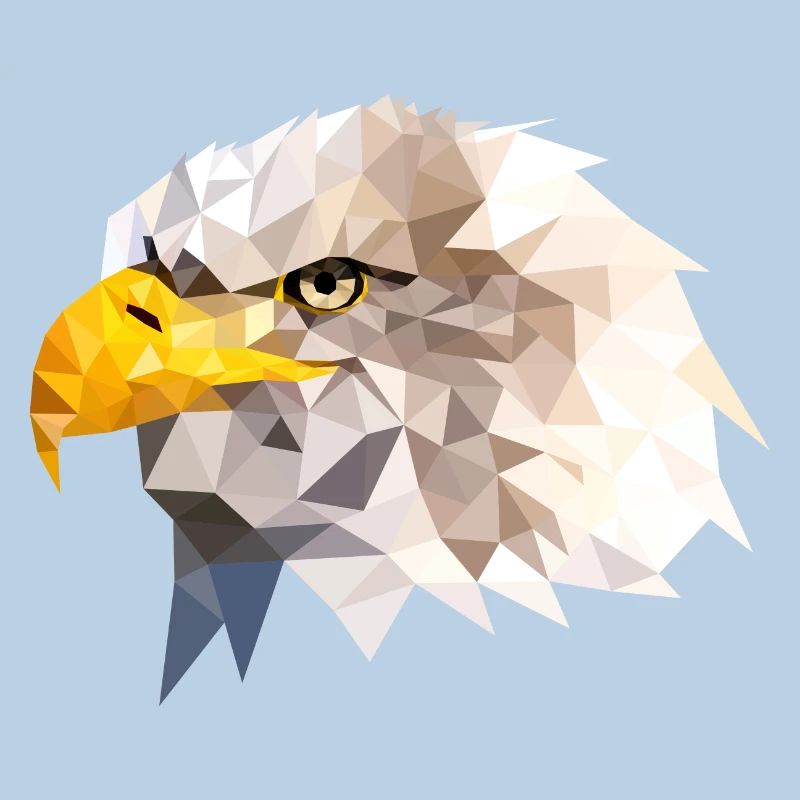 Bald Eagle Sea Eagle American Eagle Eagle