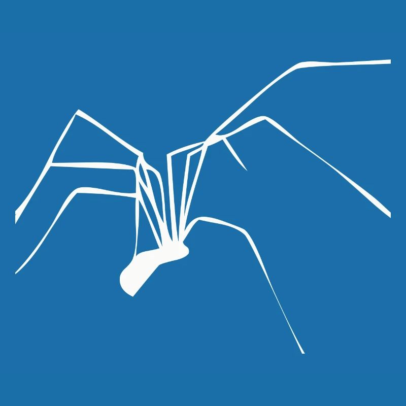 Araignée araignée araignée jambes de peur net de Noël