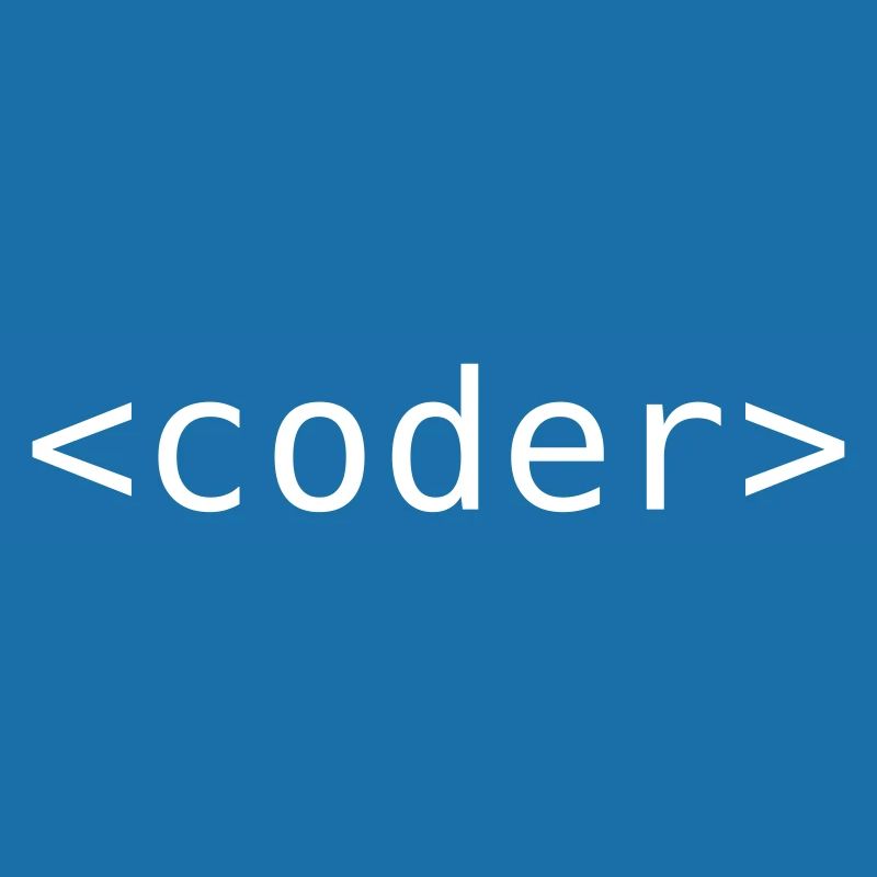 Developer / Programmer