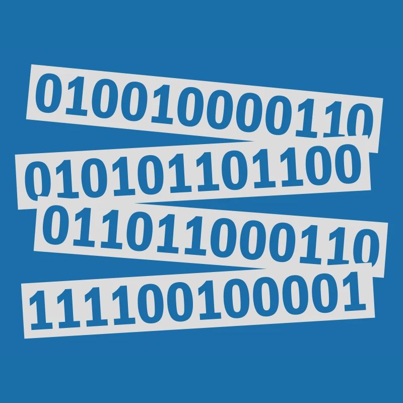 Langage de programme de code binaire