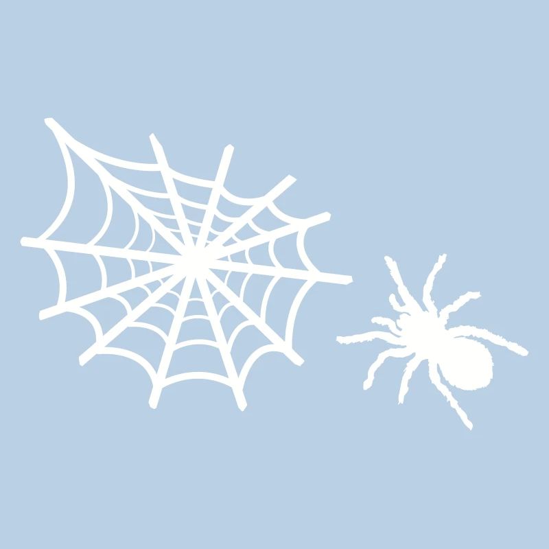 spider spider web