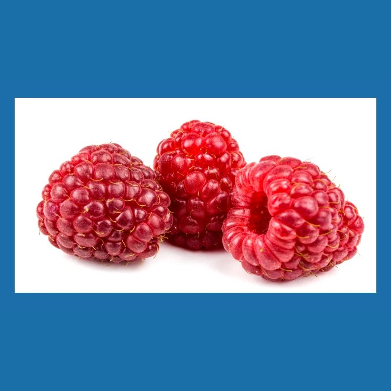 Himbeere. raspberry