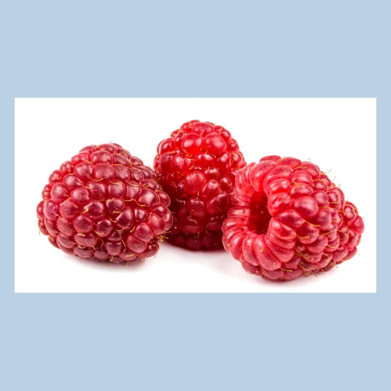 Himbeere. raspberry