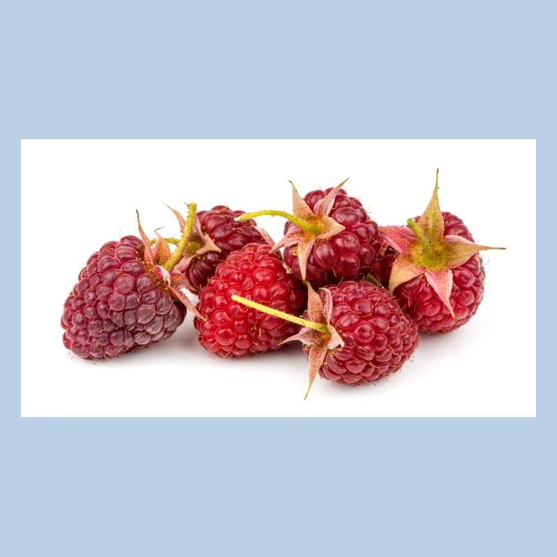 Raspberry. Raspberry