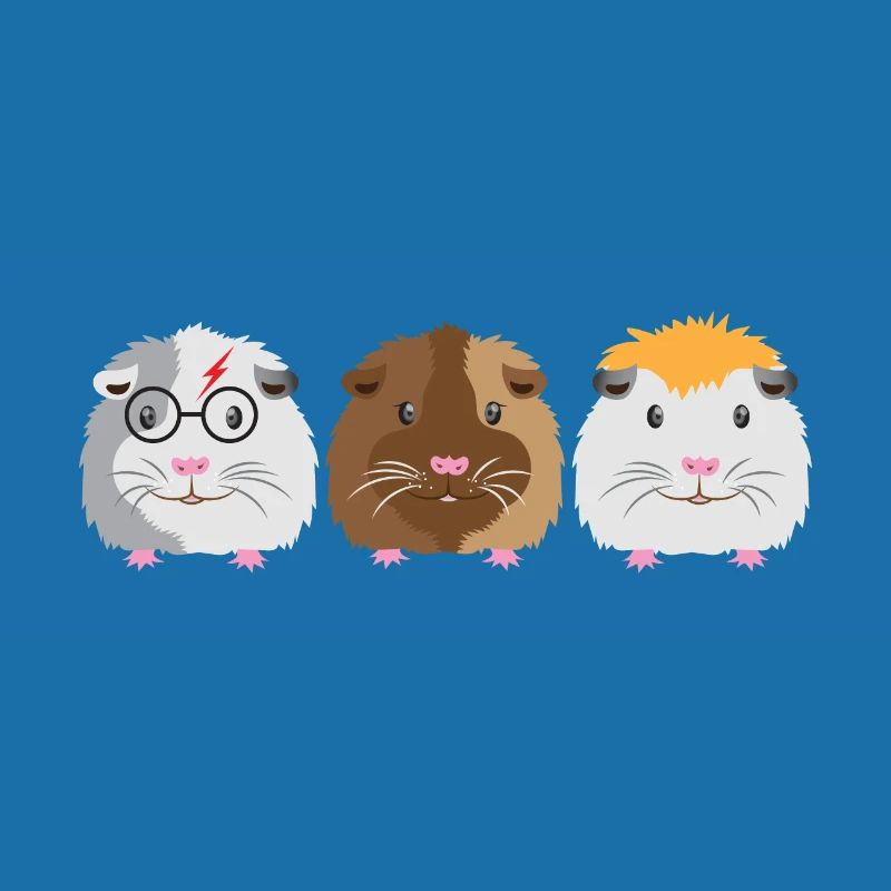 Trois petits cochons d'Inde mignons