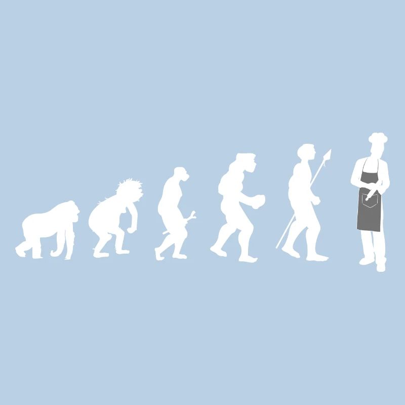 KochKoch Evolution