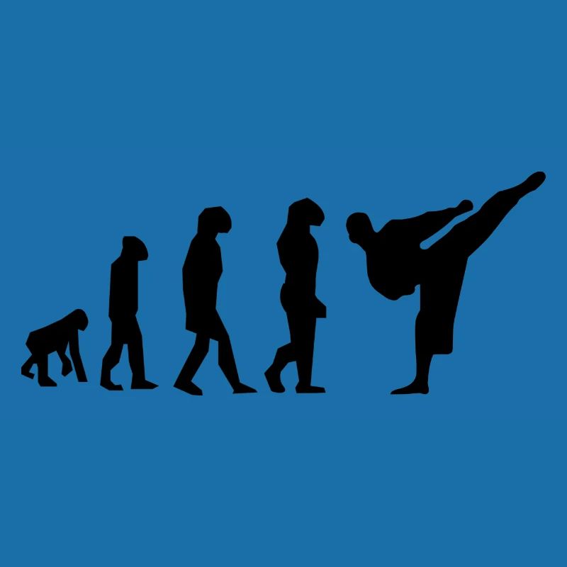 évolution karaté