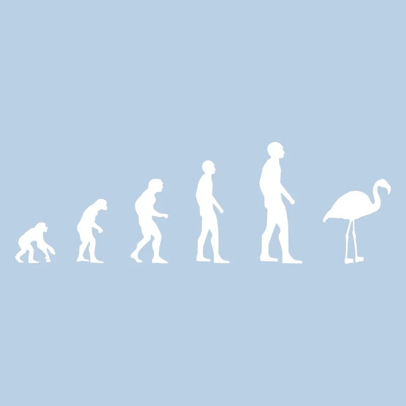 Flamingo - Evolution