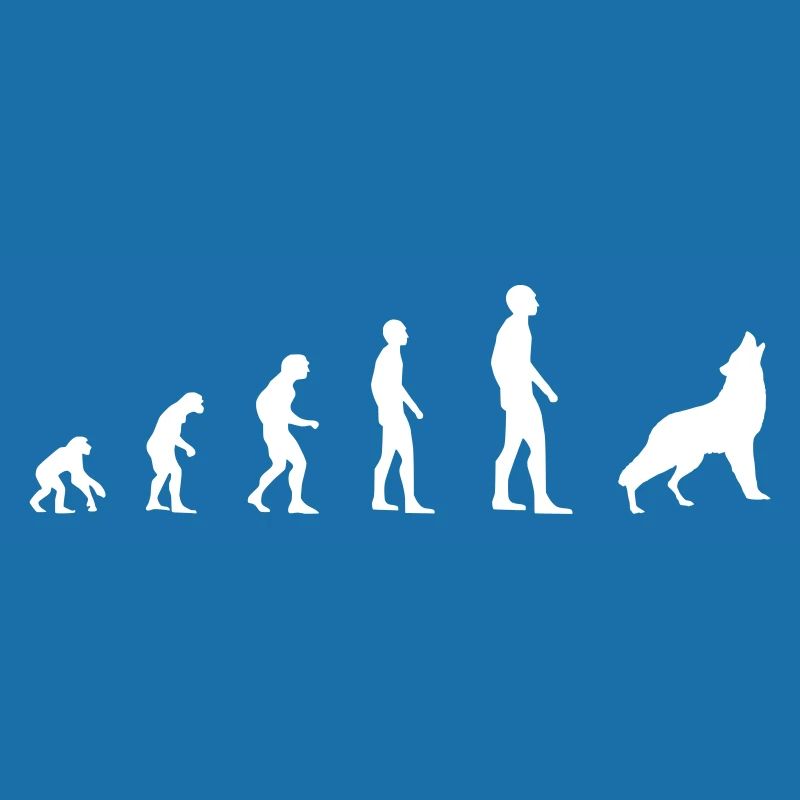 Wolf – Evolution