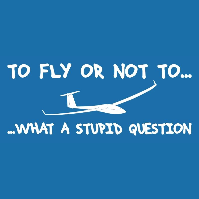 Question pilot glider pilot gliding glider